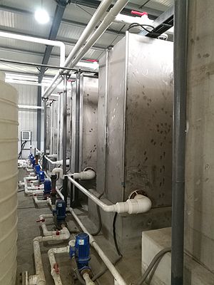 長(zhǎng)沙湘麓環(huán)保科技有限公司,長(zhǎng)沙湘麓臭氧機(jī),長(zhǎng)沙食品廠臭氧消毒機(jī),長(zhǎng)沙臭氧發(fā)生器,污水處理臭氧設(shè)備